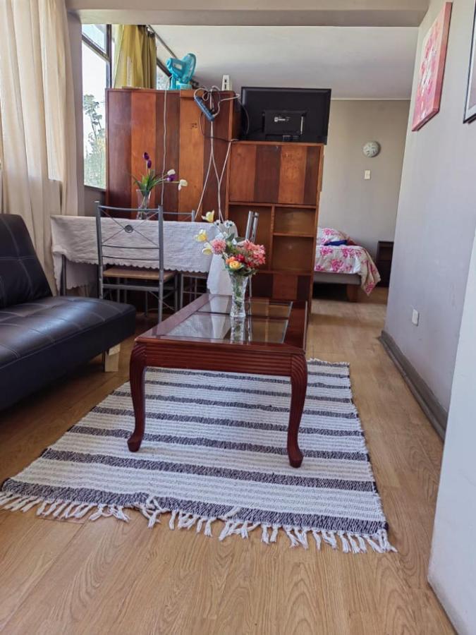 Departamento Plaza Parroquia Quinta Vergara Vina del Mar Bagian luar foto
